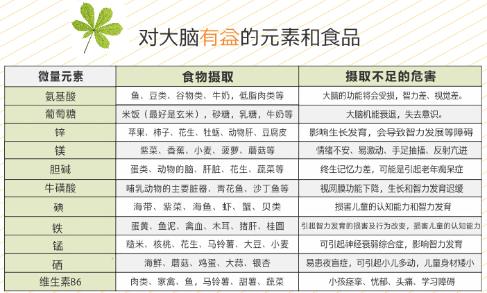 对大脑有益的元素和食品