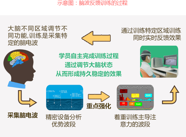 脑电训练过程图.gif